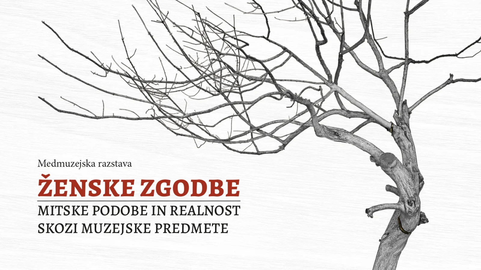 Ženske zgodbe — hero